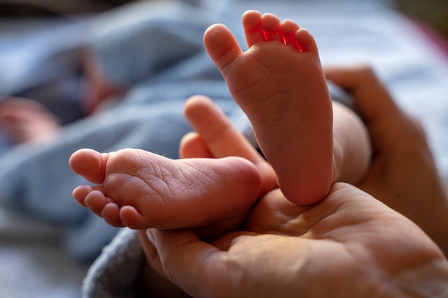 New Beginnings and Happy Endings: How Our Photography Sessions Bring Families Closer Together
